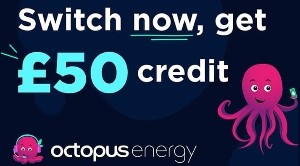 https://share.octopus.energy/ideal-finch-126